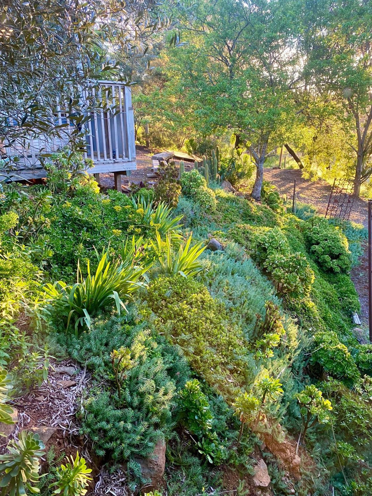 Sutton Spring Art Retreats Apartment Daylesford Ruang foto