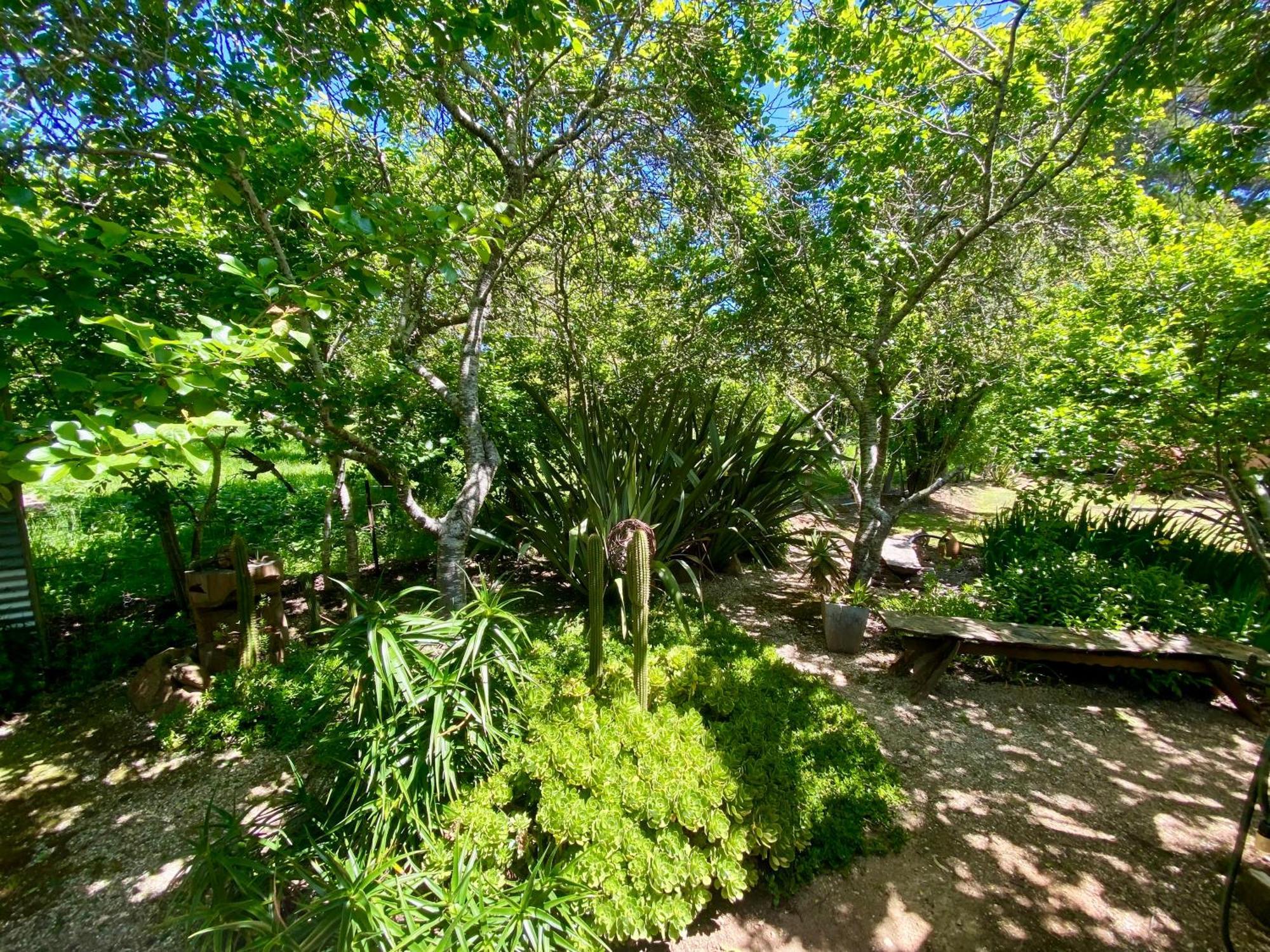 Sutton Spring Art Retreats Apartment Daylesford Ruang foto