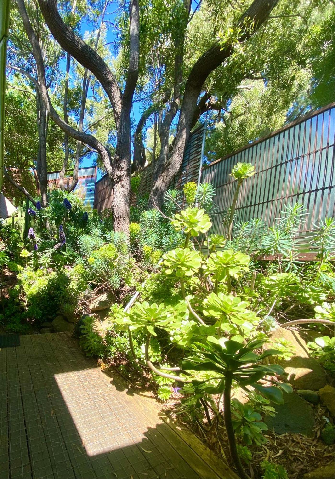 Sutton Spring Art Retreats Apartment Daylesford Ruang foto