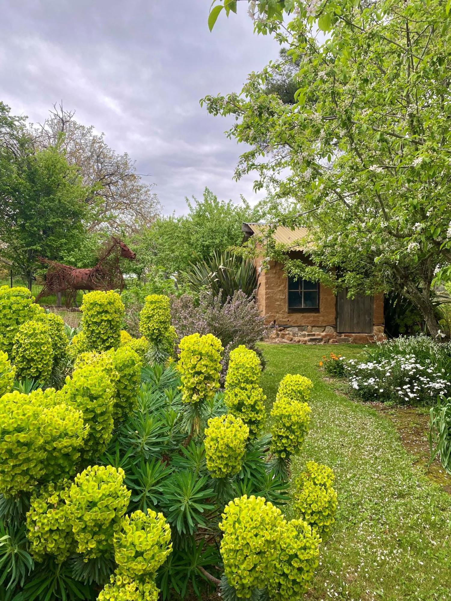 Sutton Spring Art Retreats Apartment Daylesford Bagian luar foto