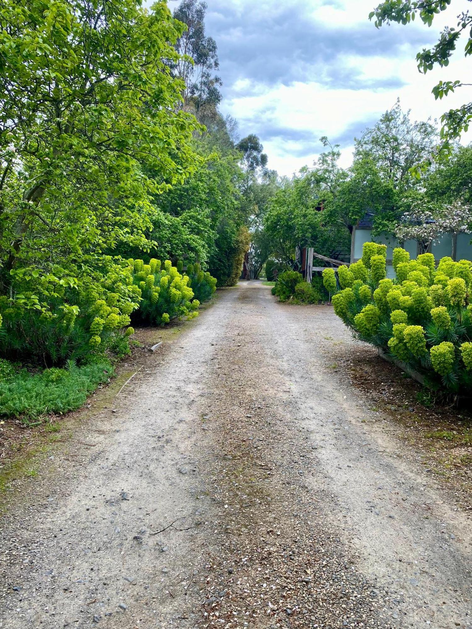 Sutton Spring Art Retreats Apartment Daylesford Bagian luar foto