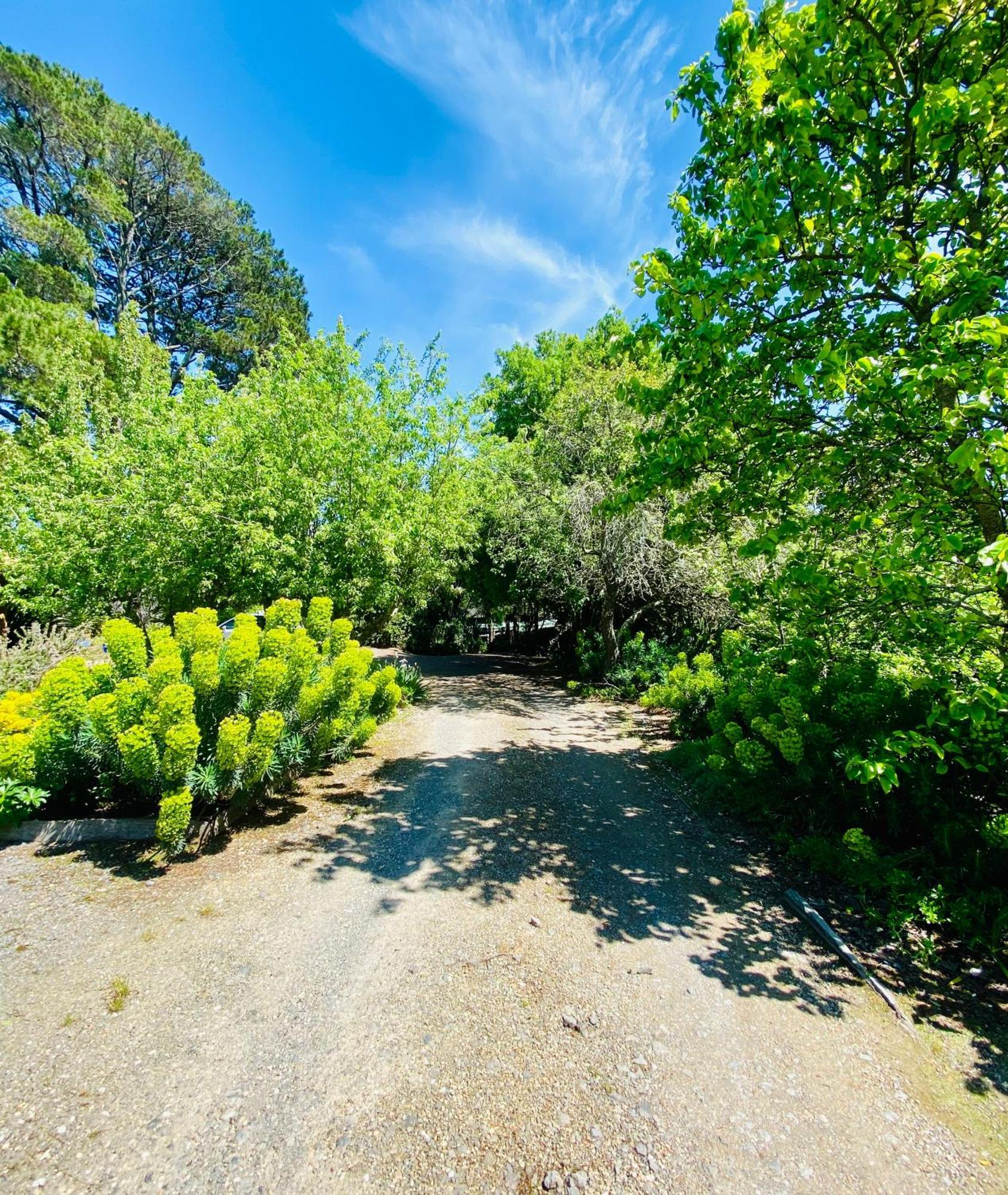 Sutton Spring Art Retreats Apartment Daylesford Bagian luar foto