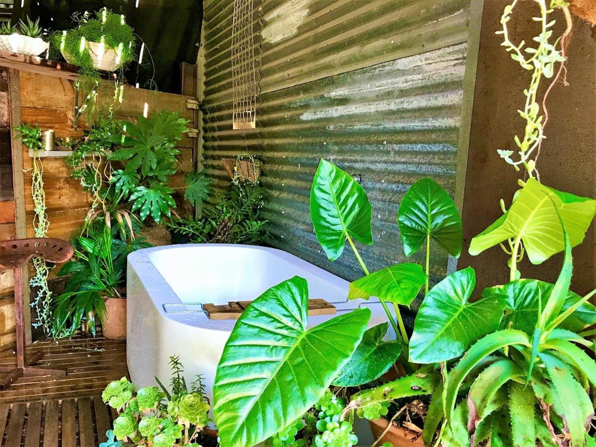 Sutton Spring Art Retreats Apartment Daylesford Bagian luar foto